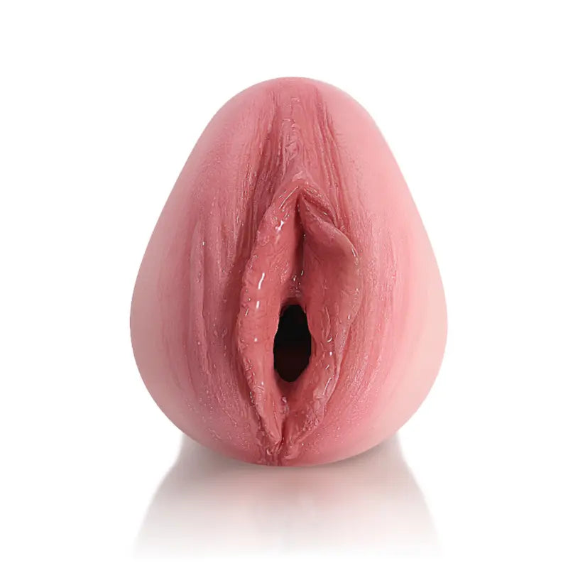 Handheld Realistic Silicone Pocket Pussy with Lifelike Labia